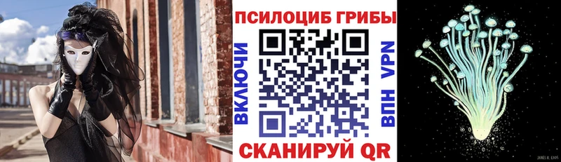 сколько стоит Троицк Галлюциногенные грибы Psilocybe